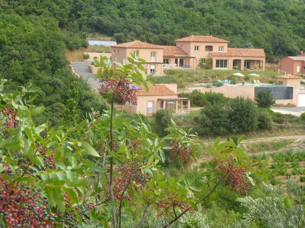 Domaine De Flo Bed & Breakfast Saint-Jean-de-la-Blaquiere Exterior photo